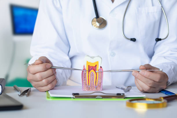 Best Emergency Dentist for Knocked-Out Tooth in Tarrant, AL